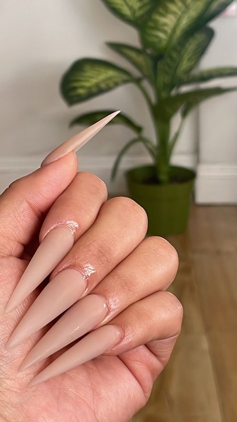 Matte Stiletto Nails, Nail Forms, Pretty Acrylic Nails, Stiletto Nails, Nail Inspo, Cute Hairstyles, Hair And Nails, Acrylic Nails, Lashes