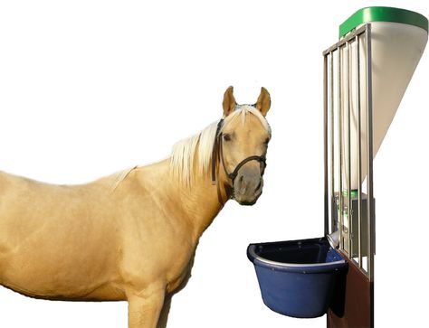 The PROSAGRI horse feeder was designed to last over time and was built using components that ensure maximum reliability.     Design special features: Watertight electrical panel complying with IP65 standard Daily watch for programming meal schedules Timer for precise … Continued Horse Feeder, Doors Ideas, Electrical Panel, Horse Property, Room Doors, Laundry Room, Programming, Goats, Special Features