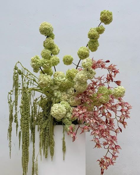 HATTIE on Instagram: “Snowball viburnum of my dreams” Big Flower Arrangements, Styling Bed, Snowball Viburnum, Modern Bouquet, Floral Styling, Modern Floral Design, Colourful Wedding, Prop Styling, Flower Therapy