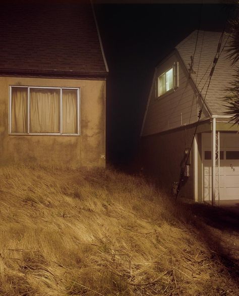 Todd Hido Grass Houses, Todd Hido, Ombres Portées, Southern Gothic, Edward Hopper, Art Brut, Contemporary Photography, Colour Photograph, House Hunting