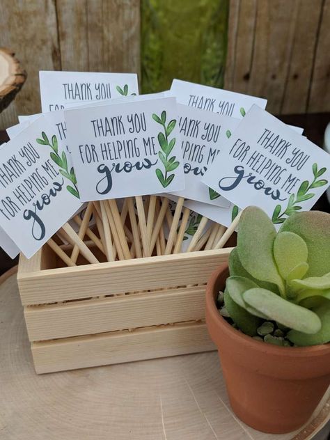 Rustic ( Cactus + Succulent ) theme party Birthday Party Ideas | Photo 9 of 173 | Catch My Party Succulent Theme, Garden Birthday Party, Plant Party, Thank You Party, Cactus Party, Garden Party Birthday, Garden Birthday, Flower Party, Karas Party Ideas