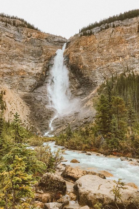 Located in Yoho National Park, British Columbia, Takakkaw Falls is one of the highest waterfalls in western Canada. Read about 15 of the best waterfalls in Canada.  #FreshTracksCanada #TravelCanada #CanadianWaterfalls Canada Waterfalls, Canada Landmarks, Vancouver Island Waterfalls, Kaaterskill Falls New York, Yoho National Park, Western Canada, Beautiful Waterfalls, Canada Travel, British Columbia