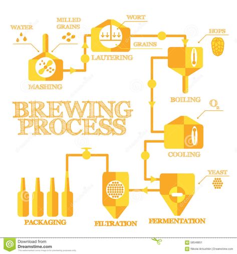 Brewing infographic stock vector. Illustration of brew - 58548851 Beer Brewing Process, Red Wine Stain Removal, Beer Facts, Beer Images, Beer Ingredients, Red Wine Stains, Wine Stains, Brewing Process, Micro Brewery