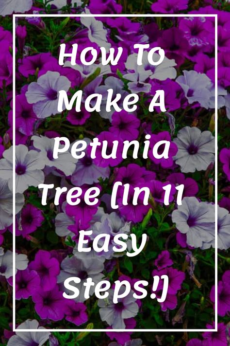 Exploring creative methods to introduce vibrant hues into your outdoor space can be an enjoyable adventure. Have you dreamed of guiding your petunias to take on a treelike appearance instead of their usual shrub form? Embrace the excitement of transforming your garden with fresh and innovative approaches! Petunia Tree How To Make A, Petunia Tree, Trailing Petunias, Wave Petunias, Flower Tower, Garden Shears, Old Farmers Almanac, Garden Posts, Landscape Fabric