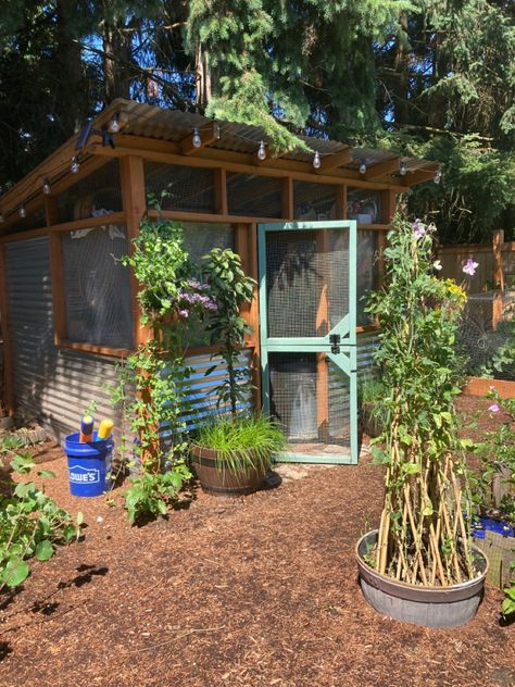 Backyard Chicken Coop Cottagecore Chicken Coop, Shed To Chicken Coop, Chickens Garden, Backyard Chicken Coop, Backyard Coop, Small Chicken Coops, Cute Chicken Coops, Chicken Coop Garden, Chicken Shed