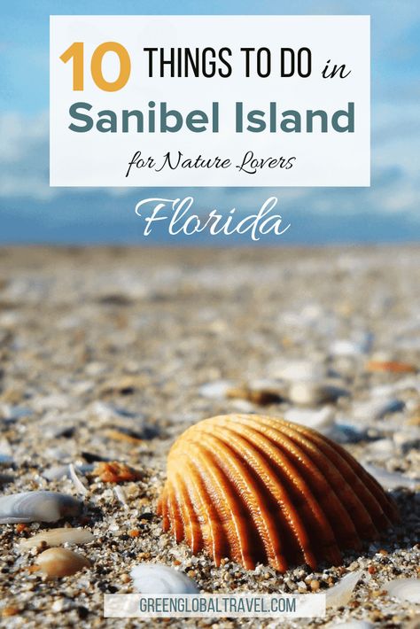 Top 10 Things to Do in Sanibel Island, Florida (For Nature Lovers) Cayo Costa State Park, Sanibel Island Beaches, Sanibel Florida, Florida Vacation Spots, Destin Florida Vacation, Rosemary Beach Florida, Shore Birds, Florida Adventures, Sanibel Island Florida