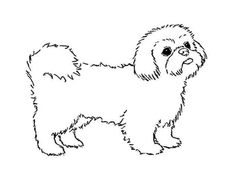 Shitzu Drawing Simple, How To Draw Dogs, Draw Dogs, Bulldog Drawing, Perro Shih Tzu, Shitzu Dogs, Basket Diy, Felt Animal Patterns, Drawing Cartoon Faces