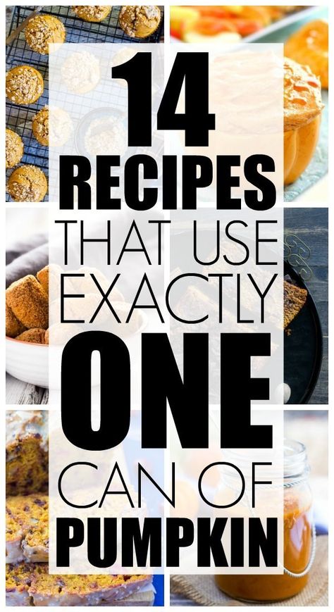 Delicious Fall Recipes, Canned Pumpkin Recipes, Pumpkin Eater, Pumpkin Squash, Pumpkin Desserts, Pumpkin Pies, Pumpkin Treat, Pumpkin Recipes Dessert, Pumpkin Seasoning