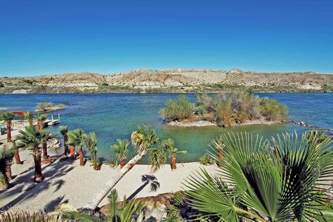 Bullhead City/Laughlin RV Park | Laughlin River Run Camping Bullhead City Az, Best Rv Parks, Arizona Camping, Bullhead City, Arizona Vacation, Best Campgrounds, Road Trip Destinations, Camping Locations, Vacation Usa