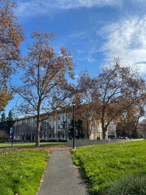 sonoma state Sonoma State University, University Aesthetic, Dream College, College Girl, University Campus, In The Fall, College Girls, State University, The Fall