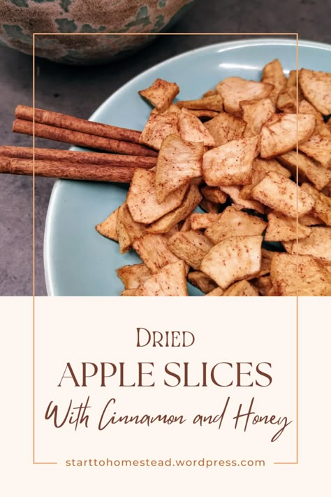 Dried apples with cinnamon and honey Dehydrated Cinnamon Apples, Dried Cinnamon Apple Slices, Dehydrate Apples In Oven, Dried Apples Dehydrator, Dried Apples In The Oven, How To Dry Apples, Dried Apple Slices, Dried Apple Rings, Dehydrated Fruits