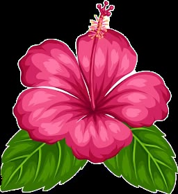 Hawaiian Flower Drawing, Festa Moana Baby, Săpunuri Handmade, ليلو وستيتش, Flamingo Birthday, Flamingo Party, Trendy Flowers, Hawaiian Flowers, Flower Clipart