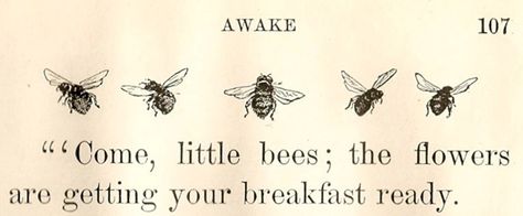 Humble Bee, This Is Your Life, Dragon Age Inquisition, Tromso, Busy Bee, Save The Bees, Stardew Valley, Bee Happy, Bees Knees