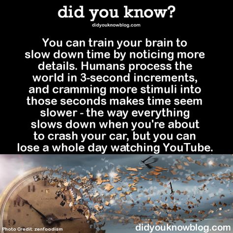 Cool Fun Facts, Fun Science Facts, Dream Facts, There Is No Spoon, Fun Facts Mind Blown, Start Trek, Astronomy Facts, Brain Facts, Cool Science Facts