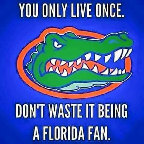 Florida Gators Florida Gator Memes, College Football Memes, University Of Tn, Gator Football, Pat Summitt, Ut Vols, Florida Gators Football, Tn Vols, Fsu Seminoles