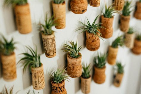 Air Plant Wedding, Wine Corks Decor, Air Plants Diy, Plant Wedding Favors, Cute Fridge, Wine Cork Diy Crafts, Plant Wedding, Wine Cork Diy, Wine Cork Art