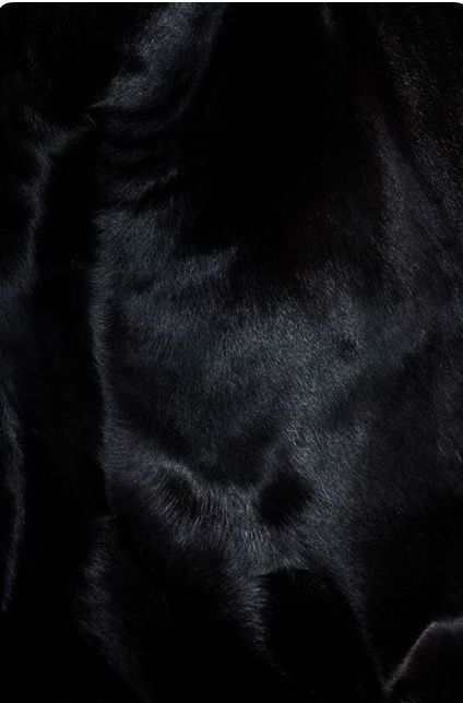 °°° Yennefer Of Vengerberg, Black Is Black, Black Gold Jewelry, Black Everything, All Black Everything, Black On Black, Black Textures, Dark Horse, Black & White