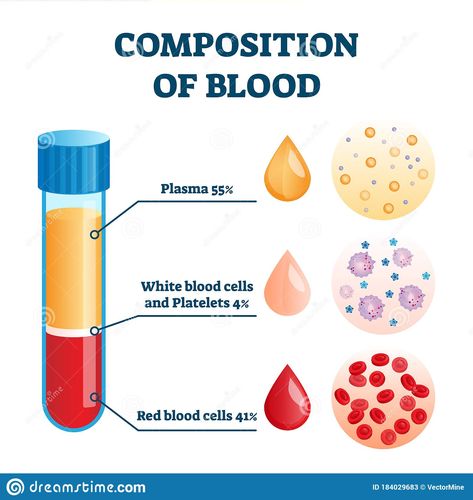 Types Of Blood Cells, Blood Components, Molecular Genetics, Laboratory Technician, Blood Plasma, Medical Student Study, Lab Technician, Medical Laboratory Science, Biomedical Science