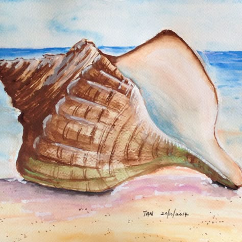 Seashell Canvas Painting, Paintings Of Shells, Seashell Painting Acrylic, Coastal Painting Ideas, Shells On Beach, Art With Shells, Ocean Themed Art, Mat Painting, Shell Paintings