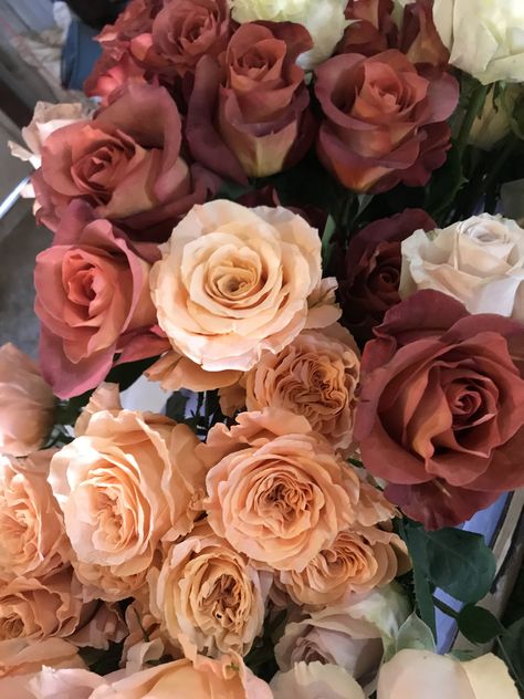 Tgcf Oc, Fall Roses, Low Maintenance Landscaping Front Yard, Brown Roses, Flower Bunches, Taylor Wedding, Rose Floral Arrangements, Rosé Theme, Birth Affirmations