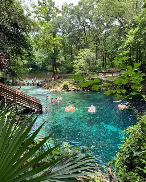 Ginny Springs Florida, Spring In Florida, Florida Natural Springs, Blue Springs State Park Florida, Blue Spring State Park Florida, Florida Springs Aesthetic, Florida Life Aesthetic, Springs Aesthetics, Places To Go In Florida