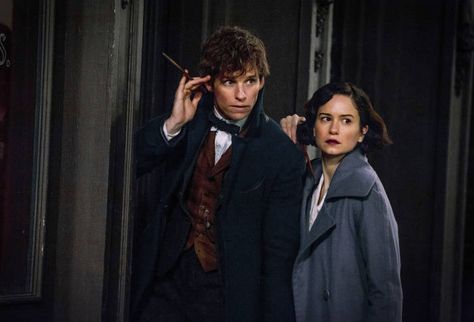 Newton Scamander, Tina Goldstein, Beast Film, Fantastic Beasts Movie, Katherine Waterston, Crimes Of Grindelwald, Fantastic Beast, Newt Scamander, Ron And Hermione