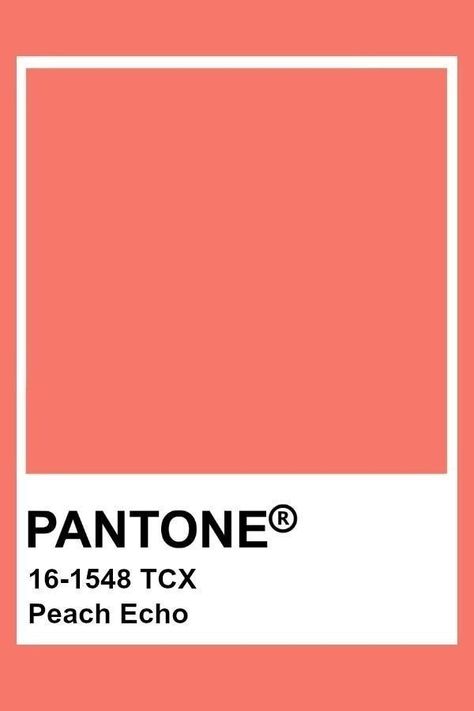 Peach Pantone, Coral Pantone, Pantone Tcx, Peach Echo, Color Durazno, Pantone Colours, Peach Pink Color, Pantone Color Chart, Pantone Swatches