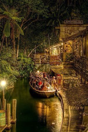 Jungle Cruise in Adventureland at the Magic Kingdom Jungle Cruise Aesthetic, Lily Houghton, Disneyland Images, Jungle Park, Disneyland California Adventure, Jungle Cruise, Disney Rides, Disneyland California, Parc D'attraction