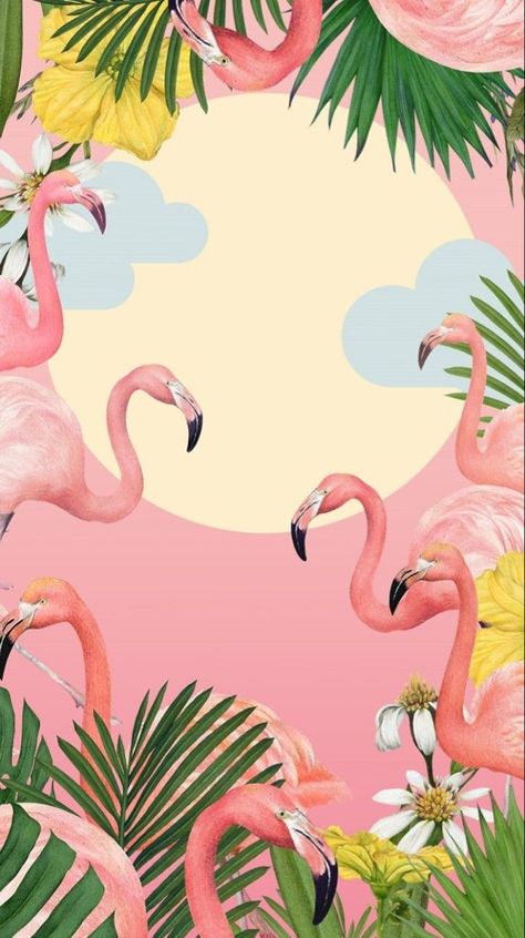 Flamingo Background, Pixel Wallpaper, Wallpaper Design Pattern, Summer Flamingo, Flamingo Wallpaper, Flamingo Bird, Flamingo Art, Tropical Wallpaper, Flamingo Party