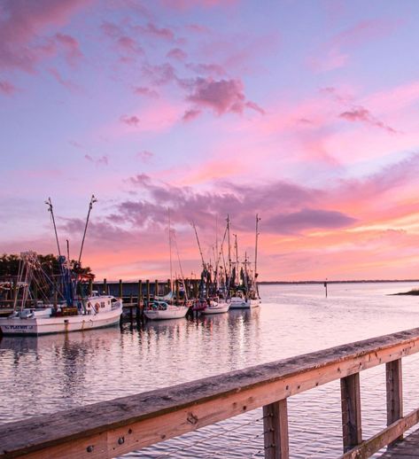 MOUNT PLEASANT Coastal Auntie, While I Breathe I Hope, Pink Skies, Palmetto State, Coastal Summer, Coastal Vibes, Mount Pleasant, Pink Sky, Nantucket