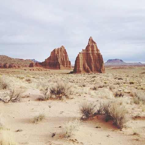 Puzzle Collection, Into The West, Capitol Reef, Desert Dream, Capitol Reef National Park, Desert Vibes, Salvador Dali, Desert Landscaping, Oh The Places Youll Go