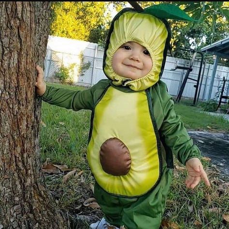 🙋HEALTHY FOOD GUIDELINES 🙆 on Instagram: “how cute is this little avocado 😍😍 Pleqse DM for credit  #foodguidelines  #cute #food #avocado” Breech Babies, Preterm Baby, Blasian Babies, Baby Humor, Orbit Baby, Baby Play Yard, Baby Skunks, Colicky Baby, Baby Playpen