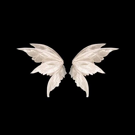 Fairy Wings Black, Fairy Wings Aesthetic, Projector Photography, Wings Png, White Angel Wings, Tshirt Printing Design, Creative Drawing Prompts, Fairy Artwork, Black Phone Wallpaper