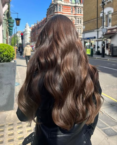 Golden Dark Brown Hair, Long Chocolate Brown Hair, Curled Brown Hair, Loose Waves Long Hair, Thick Brown Hair, Wavy Brown Hair, Cabello Afro Natural, Brown Wavy Hair, Rambut Brunette