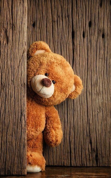 Happy Teddy Day, Teddy Bear Day, Seize The Moment, Rose Day, Propose Day, Teddy Day, Chocolate Day, Soft Toys, Teddy Bears