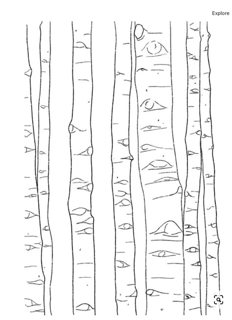 Birch Tree Art Lesson, Painting Of Birch Trees, Easy Birch Tree Painting, How To Paint Aspen Trees, Birch Trees Drawing, How To Draw A Birch Tree, How To Draw Birch Trees Step By Step, How To Draw Aspen Trees, Aspen Trees Drawing