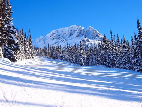 Skiing isn't the only thing Whistler has to offer. Here are a few fun things to do in Whistler besides skiing if you want to skip the slopes and explore the area. Whistler Ski Resort, Canada Whistler, 30th Birthday Trip, Whistler Ski, Ski Destinations, Whistler Canada, Whistler Blackcomb, Vancouver City, Whistler Bc