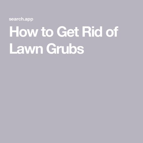 How to Get Rid of Lawn Grubs Moles In Yard, Service Quotes, Gutter Guard, Termite Control, Solar Companies, Soil Testing, Woodworking Workshop, Home Safety, Alternative Energy