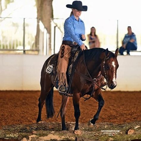 arha ranch riding Wavelength photo Ranch Riding Exercises, Ranch Riding Outfit, Ranch Riding Patterns, Ranch Riding Show Outfits, Ranch Horse Show, Western Dressage, Horse Show Mom, Hunter Under Saddle, Ranch Horses