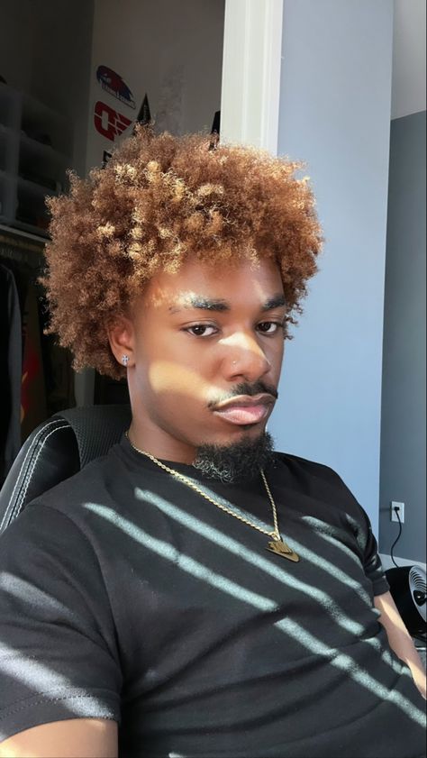 Ginger Dyed Hair Men, Ginger Afro Men, Dyed Afro Men, Honey Blonde Hair Locs, Brown Afro Hair Color 4c, Honey Brown Locs Men, Black Man Blonde Hair, Honey Brown Hair Men, Black Men With Brown Hair