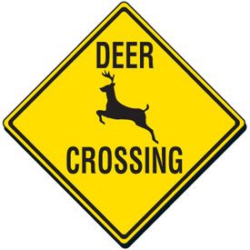 Donna, Radio Caller, Wants Deer Crossing Signs Moved So Deer Won't Cross Highways Deer Crossing Sign, Wildlife Birthday Party, Tractor Room, Psalm 42 1, Billboard Ideas, Kat Core, Safety Slogans, Road Texture, Deer Crossing