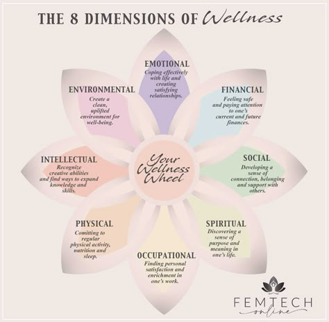 Wellness Wheel Worksheet, Wheel Of Wellness, 8 Dimensions Of Wellness, Wellness Wheel, Dimensions Of Wellness, Destructive Relationships, How To Communicate Better, Plan For Success, Love Wellness