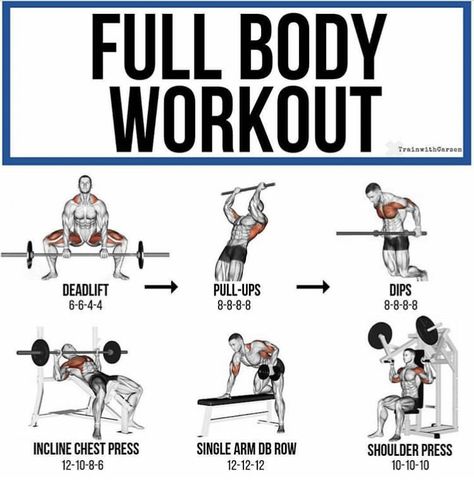 Full Body Workout Plan, Bicycle Workout, Full Body Workout Routine, Nutrition Sportive, Gym Workouts For Men, Gym Aesthetic, Fitness Progress, Body Workout Plan, Biceps Workout