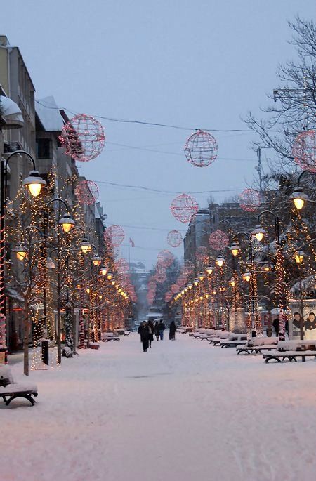 Skopje Winter Night,  Republic of Macedonia (FYROM) | by Fursa Macedonia Skopje, Skopje Macedonia, Republic Of Macedonia, Europe On A Budget, Snowy Night, Holiday Places, Scenic Photography, Voyage Europe, Macedonia