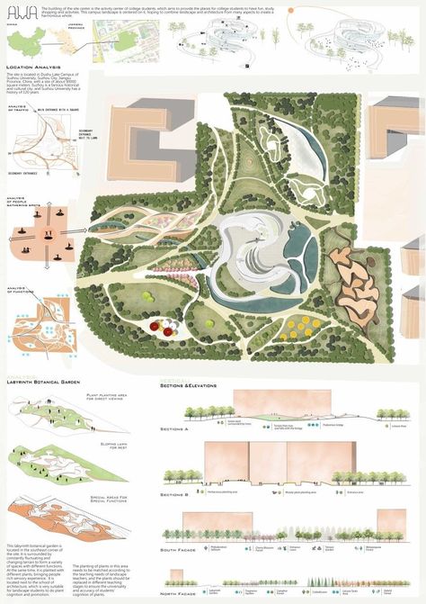 Cut And Fill Architecture, Architecture Site Plan Render, Organic Masterplan, Landscape Analysis Diagram, Planting Plan Landscape Architecture, Massing Architecture, Landscape Architecture Presentation, Masterplan Architecture, Site Plan Design