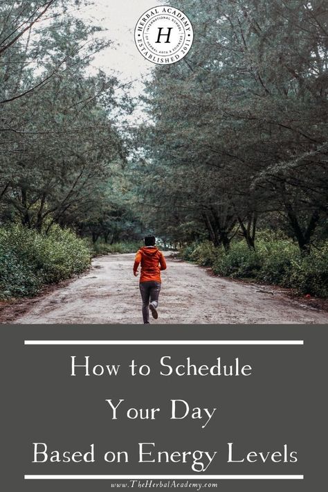 How to Schedule Your Day Based on Energy Levels | Herbal Academy | This article will discuss how to schedule your day based on your natural energy levels—and how Ayurveda can inform those decisions. Routine Based On Energy Level, Witchy Herbs, Energy Hacks, Schedule Your Day, Science Energy, Ancient Egypt Pyramids, Medicine Quotes, Herbal Education, Herbal Academy