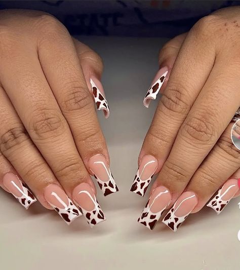 Brown Cow French Tip Nails, Long Cow Nails Acrylic, Country Inspired Nails, Cow French Tip Nails, French Tip Nails Cow Print, Brown Cow Print Acrylic Nails, Cowprint French Tip Nail Design, Vaquita Nails, Colored French Tip Nails