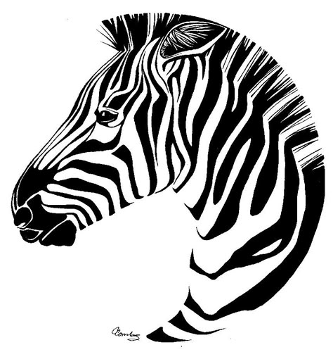 Zebra Zebra Outline, Zebra Tattoo, Acrylic Cactus, Zebra Tattoos, Zebra Clipart, Zebra Drawing, Zebra Pictures, Zebra Face, Drawing Room Interior Design