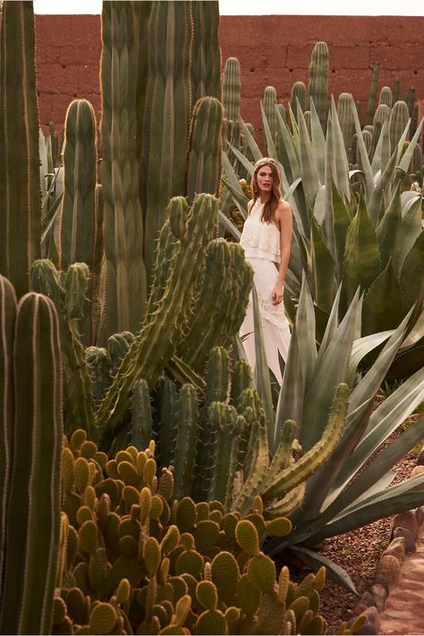 BHLDN Allegra Gown in  New | BHLDN Cactus Reference, Dessert Photoshoot, Cactus Photoshoot, Layers Art, Cactus Fashion, Desert Forest, Mexican Beauty, Minimal Photo, California Garden