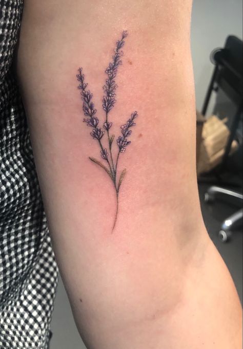 Lavender Stalk Tattoo, Lavender Branch Tattoo, Lavender Tattoo Design, January Tattoo, Lavender Tattoo, Fineline Tattoo, Branch Tattoo, Epic Tattoo, Under My Skin